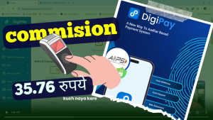 Digipay Web portal Commission